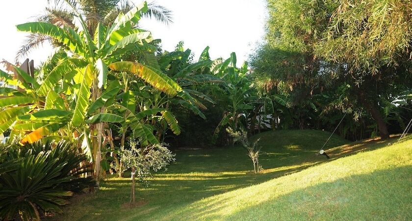 Saturn Palace Resort - All Inclusive