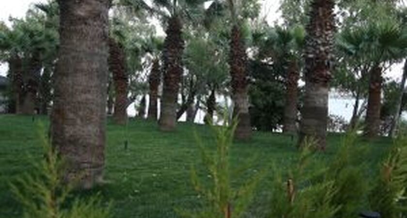 Haliç Park Hotel Ayvalık