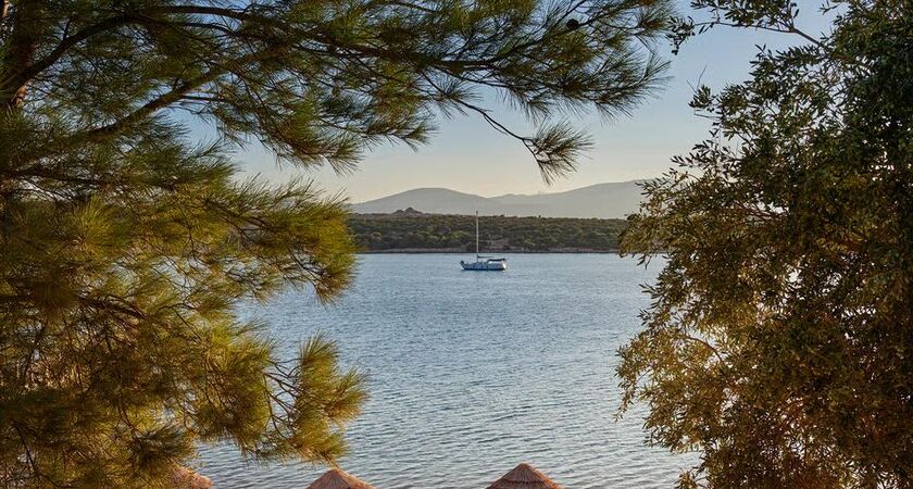 Anda Barut Collection