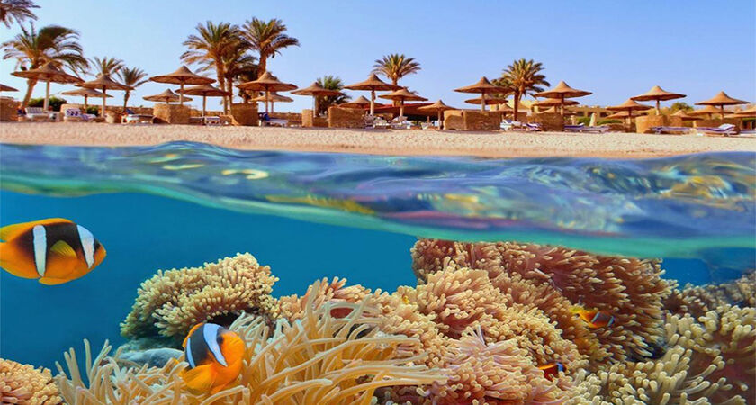 İzmir Hareketli Sunexpress İle Sharm El Sheıkh Turu 4 Gece